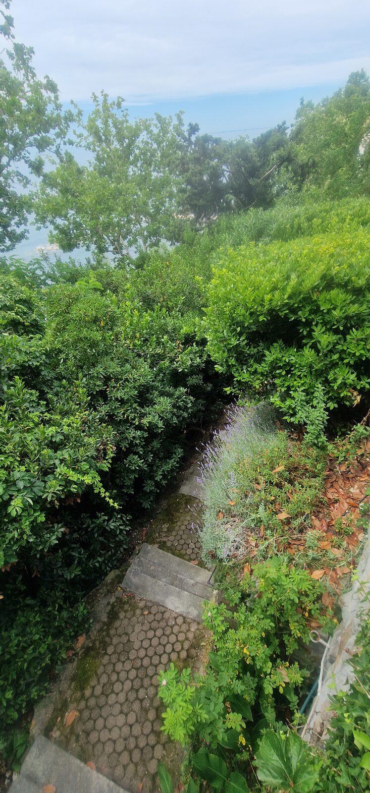 Zugang & Treppen – Villa Barcola, Triest