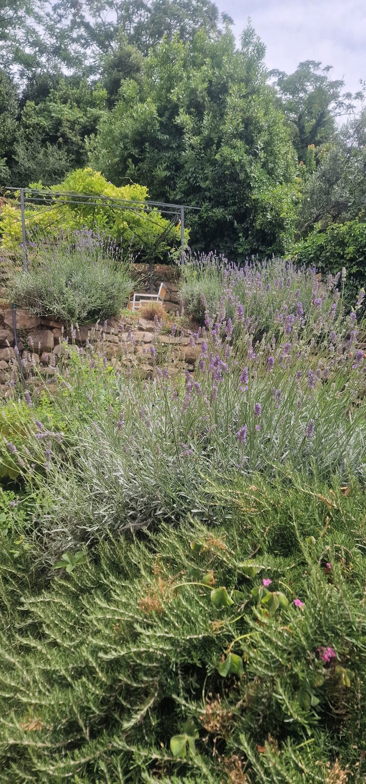 Garten & Meer – Villa Barcola, Triest